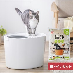 �ォ��L�g�C�� �A�C�{���[ �~ �ォ��L�g�C���p�L��