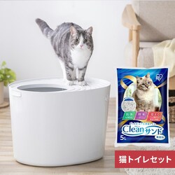 �ォ��L�g�C�� �A�C�{���[ �~ �N���[���T���h