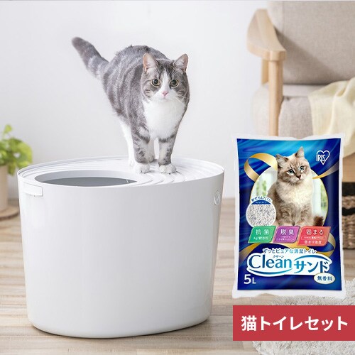 �ォ��L�g�C�� �A�C�{���[ �~ �N���[���T���h_0