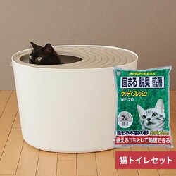 ォLgC zCg ~ EbfBtbV
