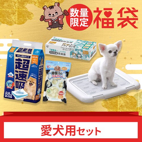  2025N pZbg zybgV[c ^K ~N ybgphL STCY g[jOybgg[   gC_0