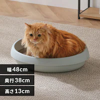 �L�̃g�C�� 480 PNE-480 �~���g�O���[