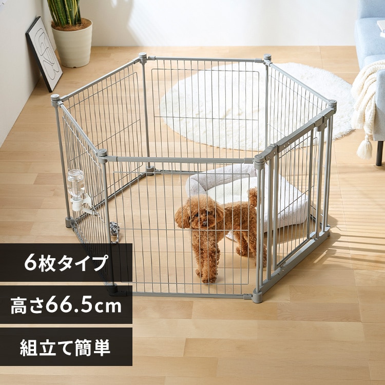 �X�`�[���T�[�N�� STCC-6 ���C�g�O���[