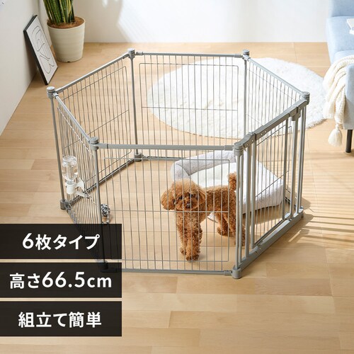 �X�`�[���T�[�N�� STCC-6 ���C�g�O���[_0