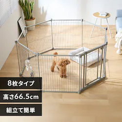 �X�`�[���T�[�N�� STCC-8 ���C�g�O���[