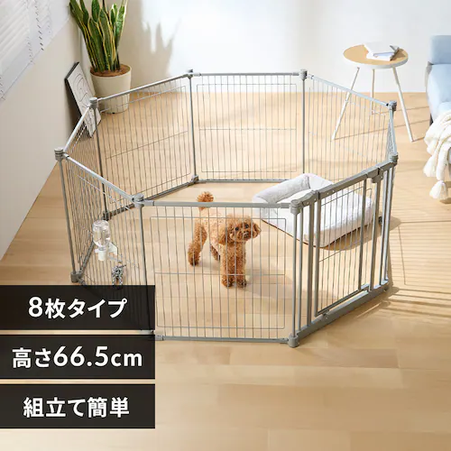 �X�`�[���T�[�N�� STCC-8 ���C�g�O���[_0