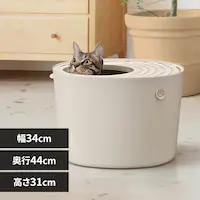 �ォ��L�g�C�� �v�` PUNT-430 ���C�g�x�[�W��