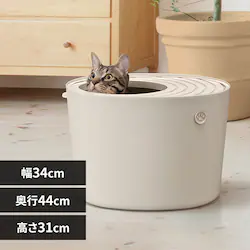 ォLgC v` PUNT-430 Cgx[W