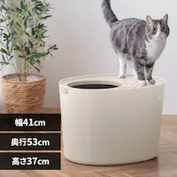 �ォ��L�g�C�� PUNT-530 ���C�g�x�[�W��