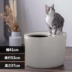 �ォ��L�g�C�� PUNT-530 ���C�g�O���[