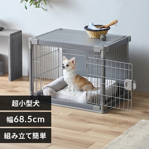 �C���e���A�E�b�f�B�T�[�N�� PIWS-650 ���C�g�O���[_0