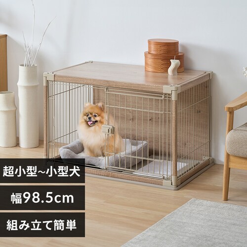 �C���e���A�E�b�f�B�T�[�N�� PIWS-960 ���C�g�x�[�W��_0