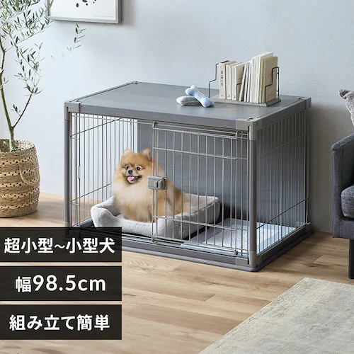 �C���e���A�E�b�f�B�T�[�N�� PIWS-960 ���C�g�O���[_0