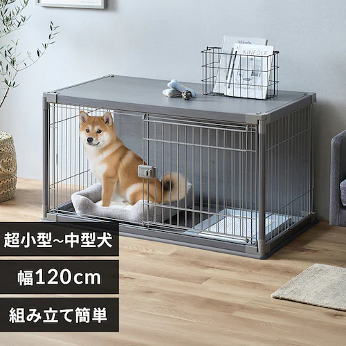 �C���e���A�E�b�f�B�T�[�N�� PIWS-1260 ���C�g�O���[_0