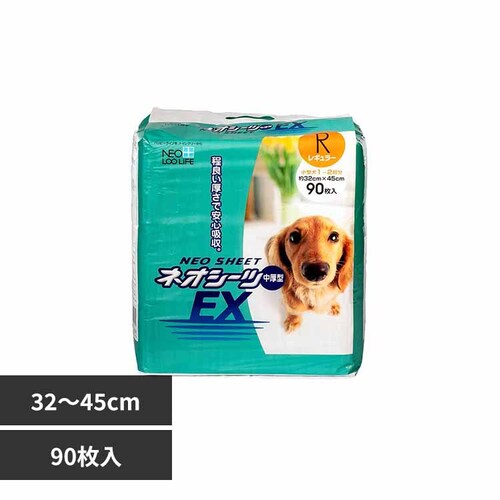 ЃR[`[ lIV[c EX M[90 3630301 yvUZNgz_0