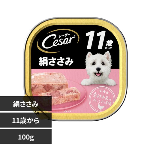  V[U[ 11΂ gC 100g CE66N _0