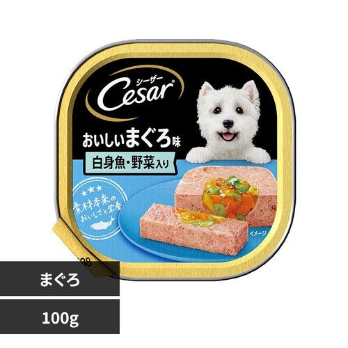 �}�[�X�W���p�����~�e�b�h �V�[�U�[ ���������܂��� ��ؓ��� �g���C 100g CE71N ���g��_0