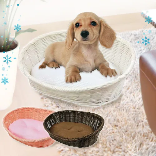 �y�b�g�v����҂݃J���[�x�b�h �r �z���C�g _0