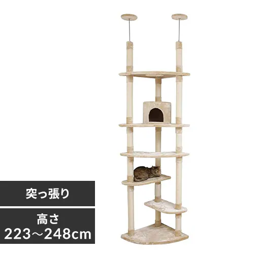 キャットタワー 突っ張り ベージュ 猫タワー 7059776 │アイリス 