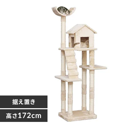�ǉ����i�T���l�C��