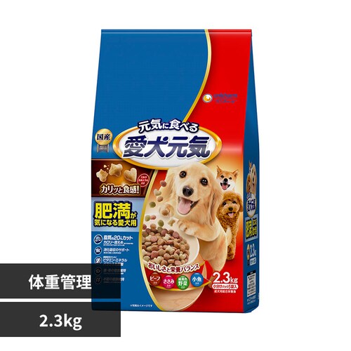 C 얞CɂȂ鈤pr[tE݁EΉF؁E 2.3kg  t[h_0