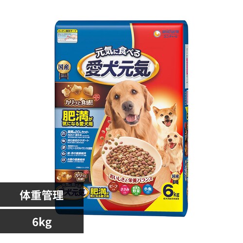 C 얞CɂȂ鈤pr[tE݁EΉF؁E 6kg  t[h_0
