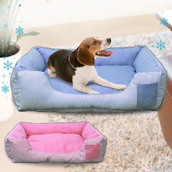 �X�N�G�A�x�b�h �S2�F �u���[ 