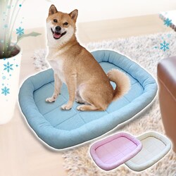 �y�b�g�v�� �^�I���}�b�g L �u���[