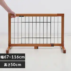 CONTINUOUS STAR LkybgpQ[g S PG-65@uE