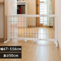 CONTINUOUS STAR LkybgpQ[g PG-65 zCg@
