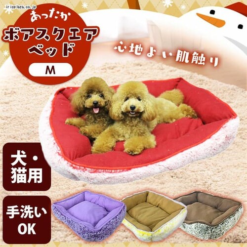 2018�y�b�g�v�� �{�A�X�N�G�A�x�b�h M �S4�F _0