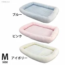 �y2019�zPP�^�I���}�b�g M �u���[