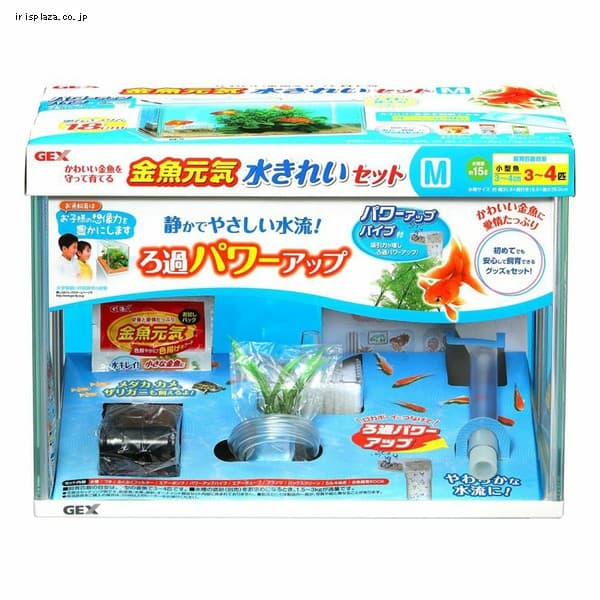 GEX CꂢZbgM