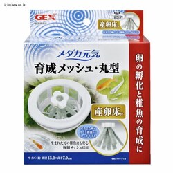 GEX _JC琬bVی^Yt 