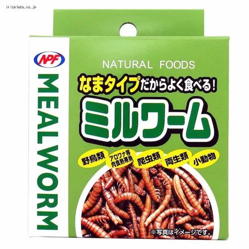 �W���y�� NPF �~�����[�� 35g _0