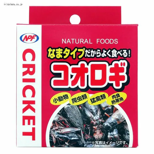 �W���y�� NPF �R�I���M 40g _0