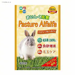 �V�p�X�`���[�A���t�@���t�@ 400g 