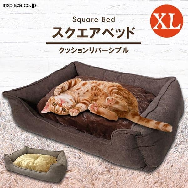  ペットベッド スクエア カバー クッション 取り外し可能 XLサイズ SB-110 全2色【プラザセレクト】