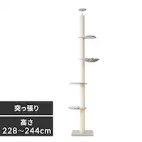 Lbg^[ ˂ O[ KCCT]244 