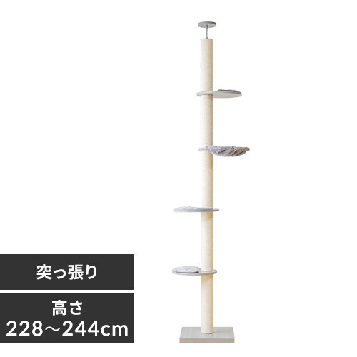 Lbg^[ ˂ O[ KCCT]244 _0