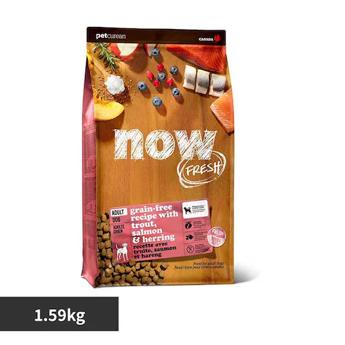 iEtbV  NOW tBbVA_g 1.59kg O[oybgj[gV_0