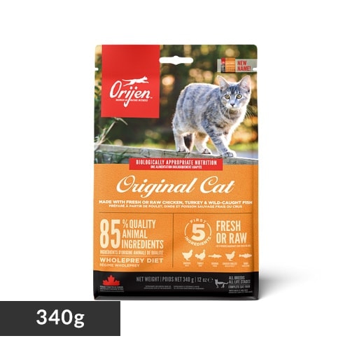 �I���W�� �L���b�g&�L�g�D�� 340g