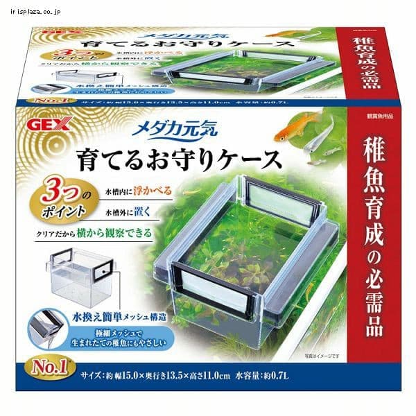 メダカ元気 育てるお守りケース