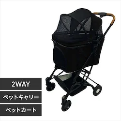 2wayybgJ[g 1691109001 ubN
