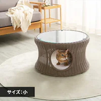 ybgnEXe[u ی^ij uEybgxbh nEX  L