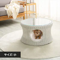 ybgnEXe[u ی^ij zCgybgxbh nEX  L