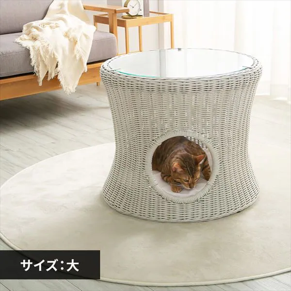 �ǉ����i�T���l�C��
