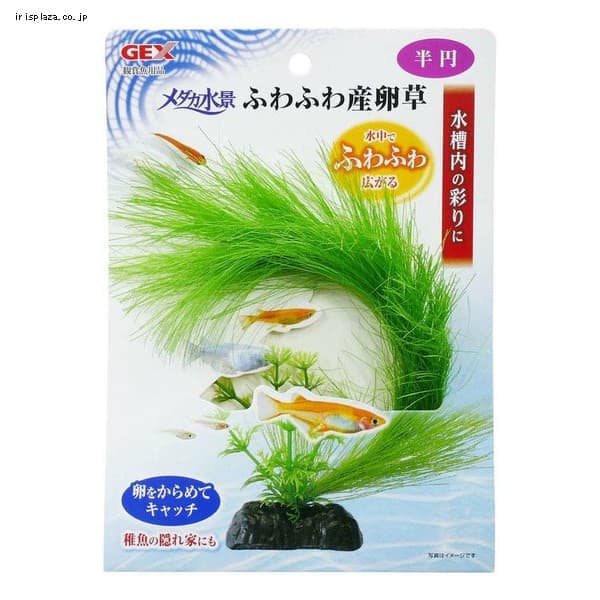 メダカ水景 ふわふわ産卵草 半円