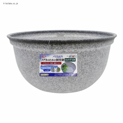 _JC _Ĵ߂̎甫420 ݂_0