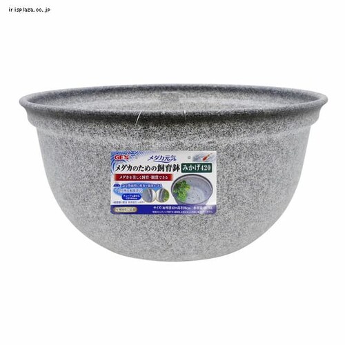 _JC _Ĵ߂̎甫420 ݂_0